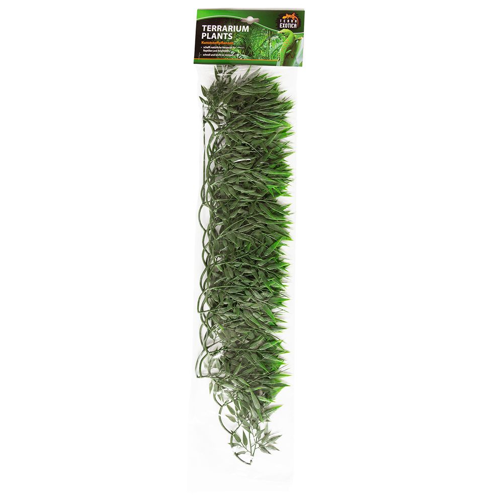 bamboo ratten - large - 1