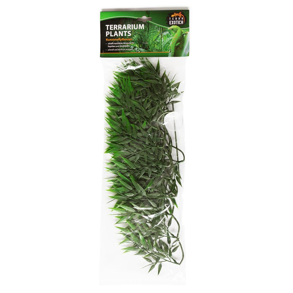 bamboo ratten - medium - 1