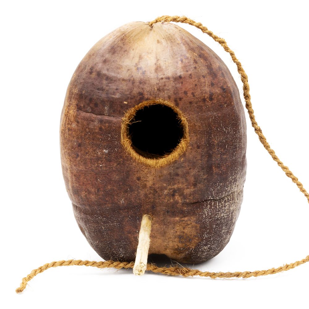 kokosschale - hngendes versteck - 2