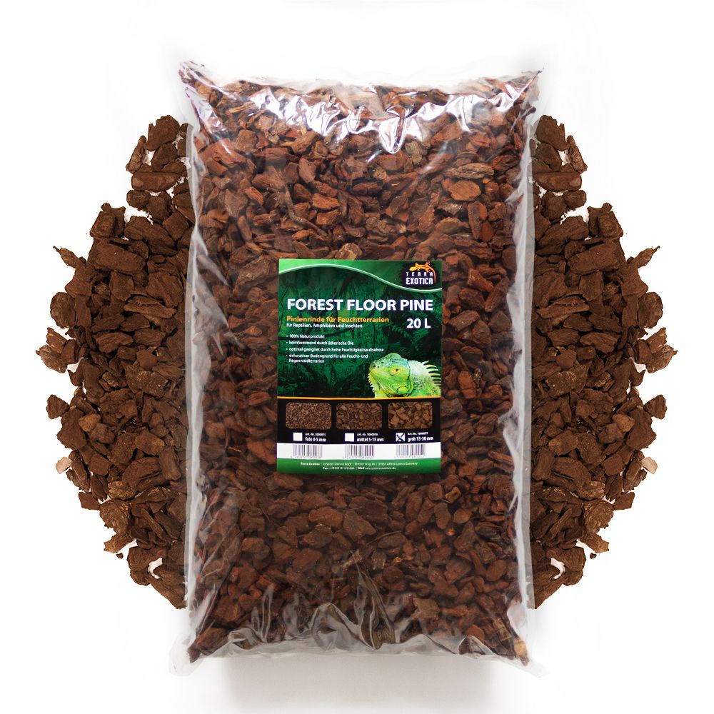 pine - 20l - grob - 1