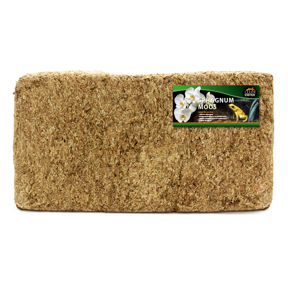 sphagnum moos - 5kg - 1